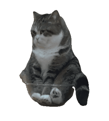 Cursor Follower